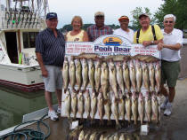 Another Lake Erie walleye limit catch, aboard "Pooh Bear"
