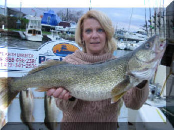Trophy walleye caught on the Lake Erie charter boat "Pooh Bear"