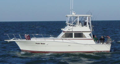 Lake Erie Fishing Charters