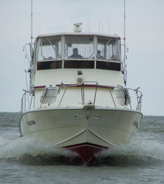 Lake Erie fishing charters aboard the charter boat "Pooh Bear"